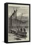 Our Fishing Industries, Herring-Boats on Loch Fyne-null-Framed Stretched Canvas