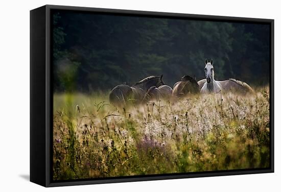 Our Garden-Milan Malovrh-Framed Stretched Canvas