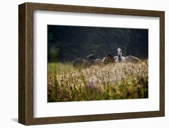 Our Garden-Milan Malovrh-Framed Photographic Print