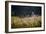 Our Garden-Milan Malovrh-Framed Photographic Print