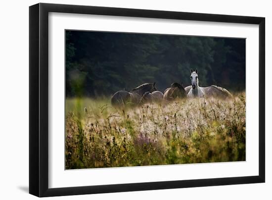 Our Garden-Milan Malovrh-Framed Photographic Print