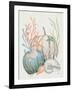 Our Home Shells I-Janelle Penner-Framed Art Print