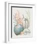 Our Home Shells I-Janelle Penner-Framed Art Print