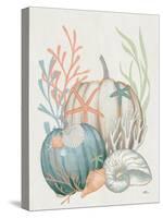 Our Home Shells I-Janelle Penner-Stretched Canvas