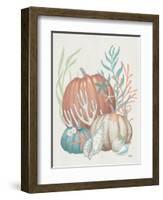 Our Home Shells II-Janelle Penner-Framed Art Print