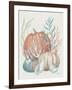 Our Home Shells II-Janelle Penner-Framed Art Print