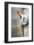 Our Lady of Fatima, Sanctuary of Bom Jesus do Monte, Braga, Minho Province, Portugal, Europe-Godong-Framed Photographic Print