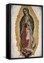 Our Lady of Guadalupe-null-Framed Stretched Canvas