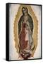 Our Lady of Guadalupe-null-Framed Stretched Canvas