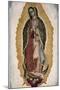 Our Lady of Guadalupe-null-Mounted Premium Giclee Print