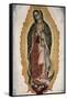 Our Lady of Guadalupe-null-Framed Stretched Canvas