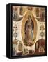 Our Lady of Guadalupe-null-Framed Stretched Canvas