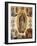 Our Lady of Guadalupe-null-Framed Giclee Print