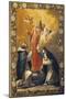 Our Lady of Rosary-Gaspare Diziani-Mounted Giclee Print