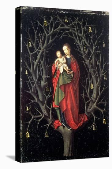 Our Lady of the Dry Tree C.1450-Petrus Christus-Stretched Canvas