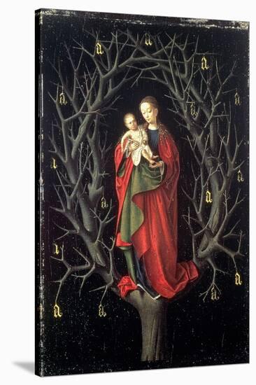 Our Lady of the Dry Tree C.1450-Petrus Christus-Stretched Canvas