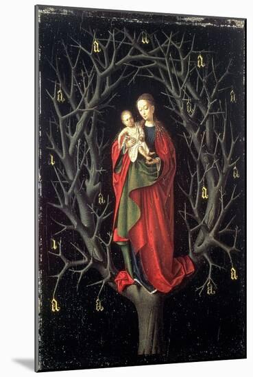 Our Lady of the Dry Tree C.1450-Petrus Christus-Mounted Giclee Print