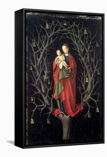 Our Lady of the Dry Tree C.1450-Petrus Christus-Framed Stretched Canvas