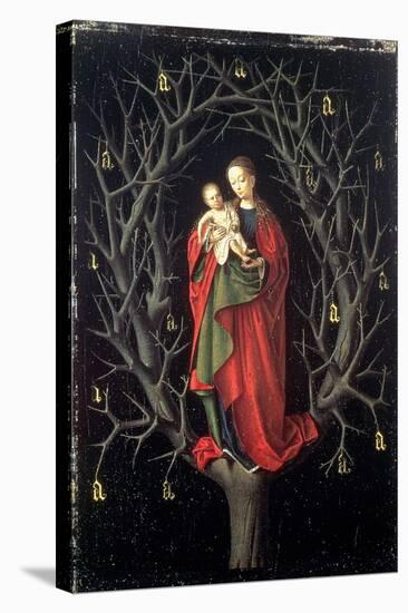 Our Lady of the Dry Tree C.1450-Petrus Christus-Stretched Canvas