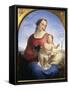 Our Lady of the Rosary, 1840-Tommaso Minardi-Framed Stretched Canvas