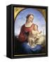 Our Lady of the Rosary, 1840-Tommaso Minardi-Framed Stretched Canvas