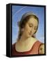 Our Lady of the Rosary, 1840-Tommaso Minardi-Framed Stretched Canvas