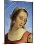 Our Lady of the Rosary, 1840-Tommaso Minardi-Mounted Giclee Print