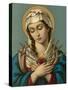 Our Lady of the Seven Sorrows-null-Stretched Canvas