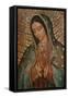 Our Lady-null-Framed Stretched Canvas