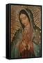 Our Lady-null-Framed Stretched Canvas