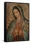 Our Lady-null-Framed Stretched Canvas