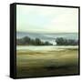 Our Land-Lisa Ridgers-Framed Stretched Canvas