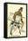 Our Mutual Friend by Charles Dickens-Hablot Knight Browne-Framed Stretched Canvas