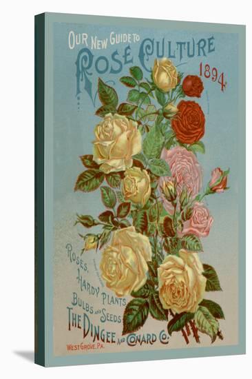Our New Guide to Rose Culture, 1894-null-Stretched Canvas