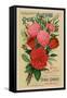 Our New Guide to Rose Culture, 1895-null-Framed Stretched Canvas