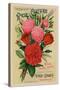 Our New Guide to Rose Culture, 1895-null-Stretched Canvas