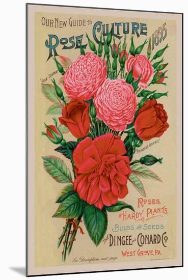 Our New Guide to Rose Culture, 1895-null-Mounted Art Print