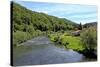 Our River near Dillingen, Grand Duchy of Luxembourg, Europe-Hans-Peter Merten-Stretched Canvas