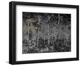 Our secret-Angus Hampel-Framed Giclee Print