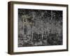 Our secret-Angus Hampel-Framed Giclee Print