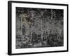 Our secret-Angus Hampel-Framed Giclee Print