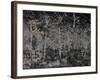 Our secret-Angus Hampel-Framed Premium Giclee Print