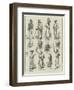 Our Special Artist in Egypt, Character Sketches Along the Road from Alexandria to Cairo-null-Framed Premium Giclee Print