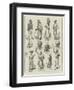 Our Special Artist in Egypt, Character Sketches Along the Road from Alexandria to Cairo-null-Framed Premium Giclee Print