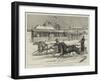 Our Special Artist in Siberia, Horse-Racing at Irkutsk-null-Framed Giclee Print