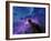 Our Sun May Have Formed from a Protostellar Nebula Like This One-Stocktrek Images-Framed Photographic Print