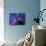 Our Sun May Have Formed from a Protostellar Nebula Like This One-Stocktrek Images-Photographic Print displayed on a wall