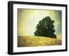 Our Waking Hours-Christy Ann-Framed Premium Giclee Print