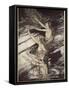Our warning is true: flee, oh flee from the curse!', from 'Siegfried and The Twilight of Gods'-Arthur Rackham-Framed Stretched Canvas