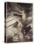 Our warning is true: flee, oh flee from the curse!', from 'Siegfried and The Twilight of Gods'-Arthur Rackham-Stretched Canvas